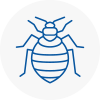 Bed Bug Extermination In Alderley Edge